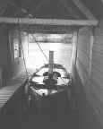 Merganser in boathouse July 2002 JPEG.jpg (94990 bytes)