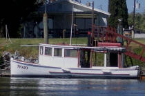 Mojo - Navy Motor Launch at home dock - Bethel Island